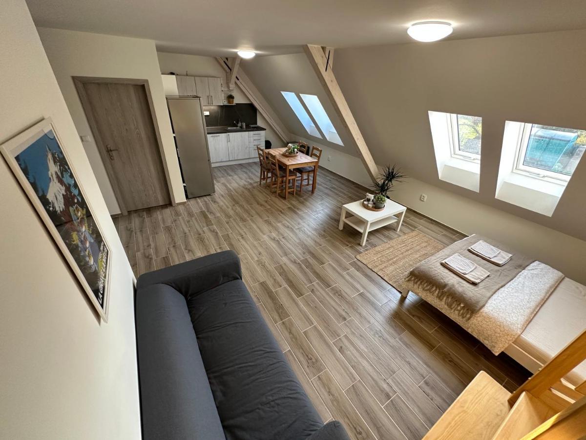 Apartmany Monastery Suites Zirec Dvůr Králové nad Labem 外观 照片