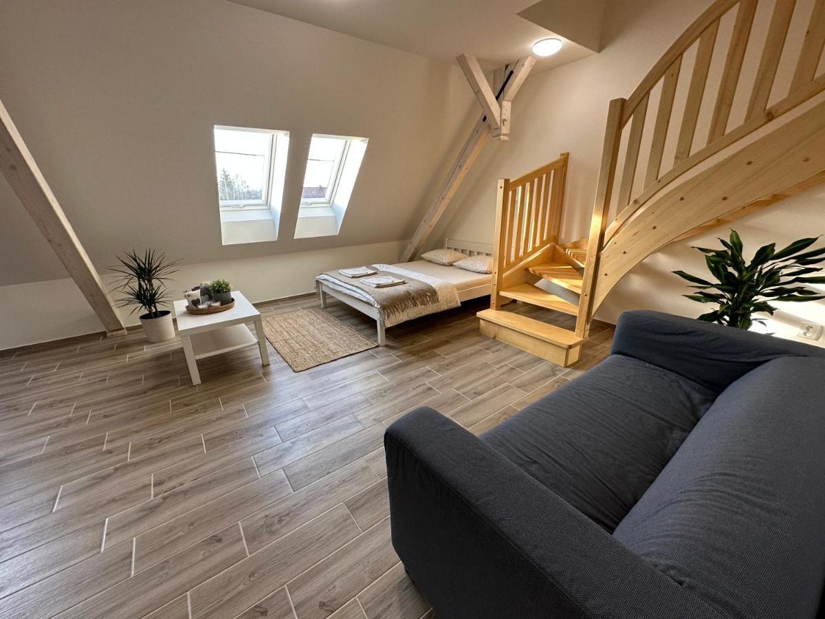 Apartmany Monastery Suites Zirec Dvůr Králové nad Labem 外观 照片
