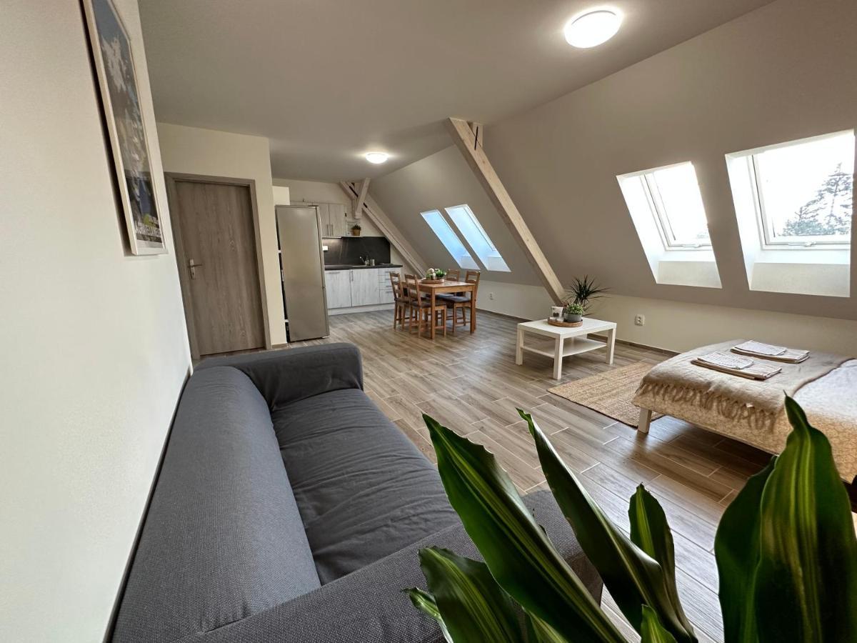 Apartmany Monastery Suites Zirec Dvůr Králové nad Labem 外观 照片