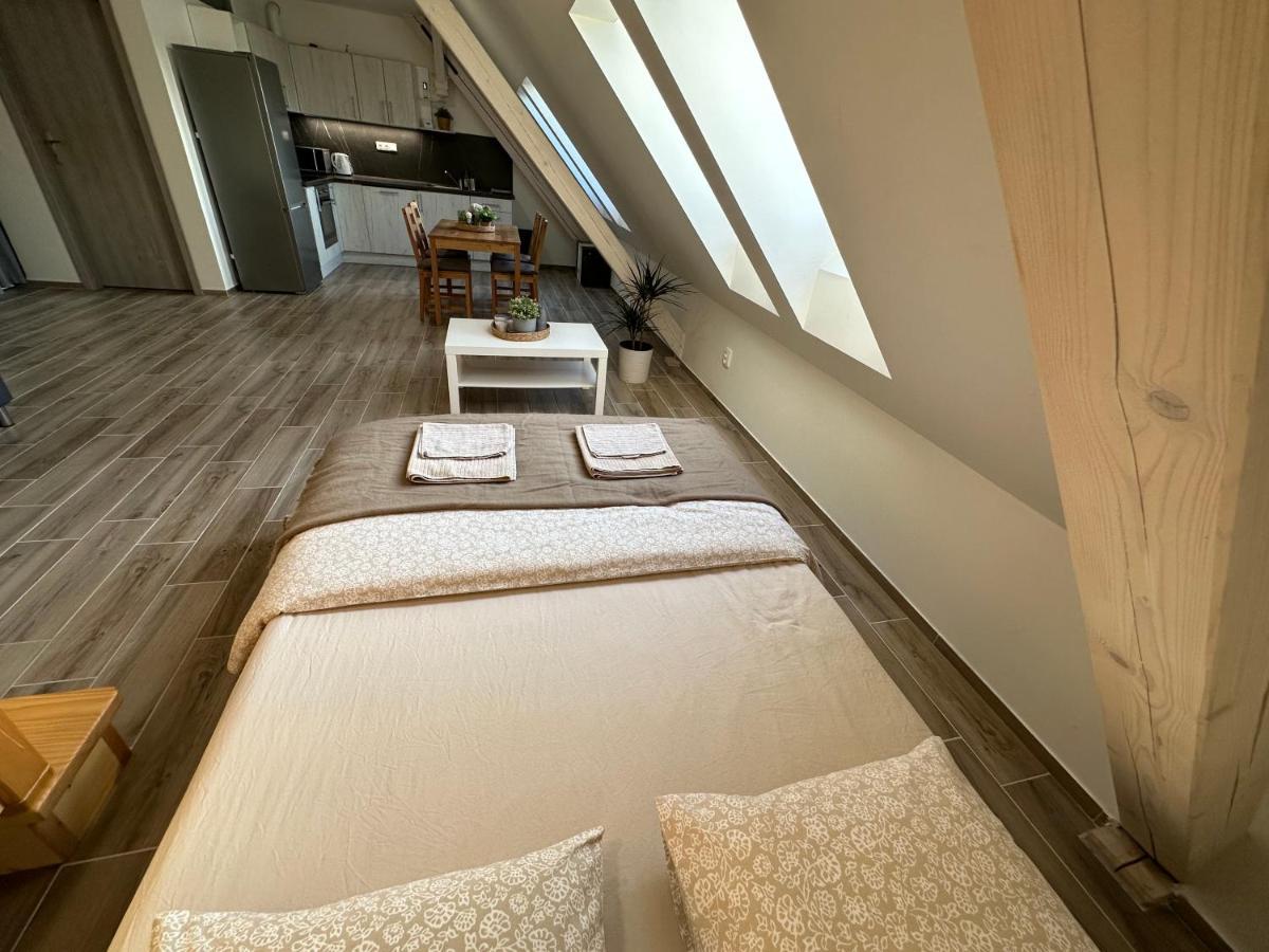 Apartmany Monastery Suites Zirec Dvůr Králové nad Labem 外观 照片