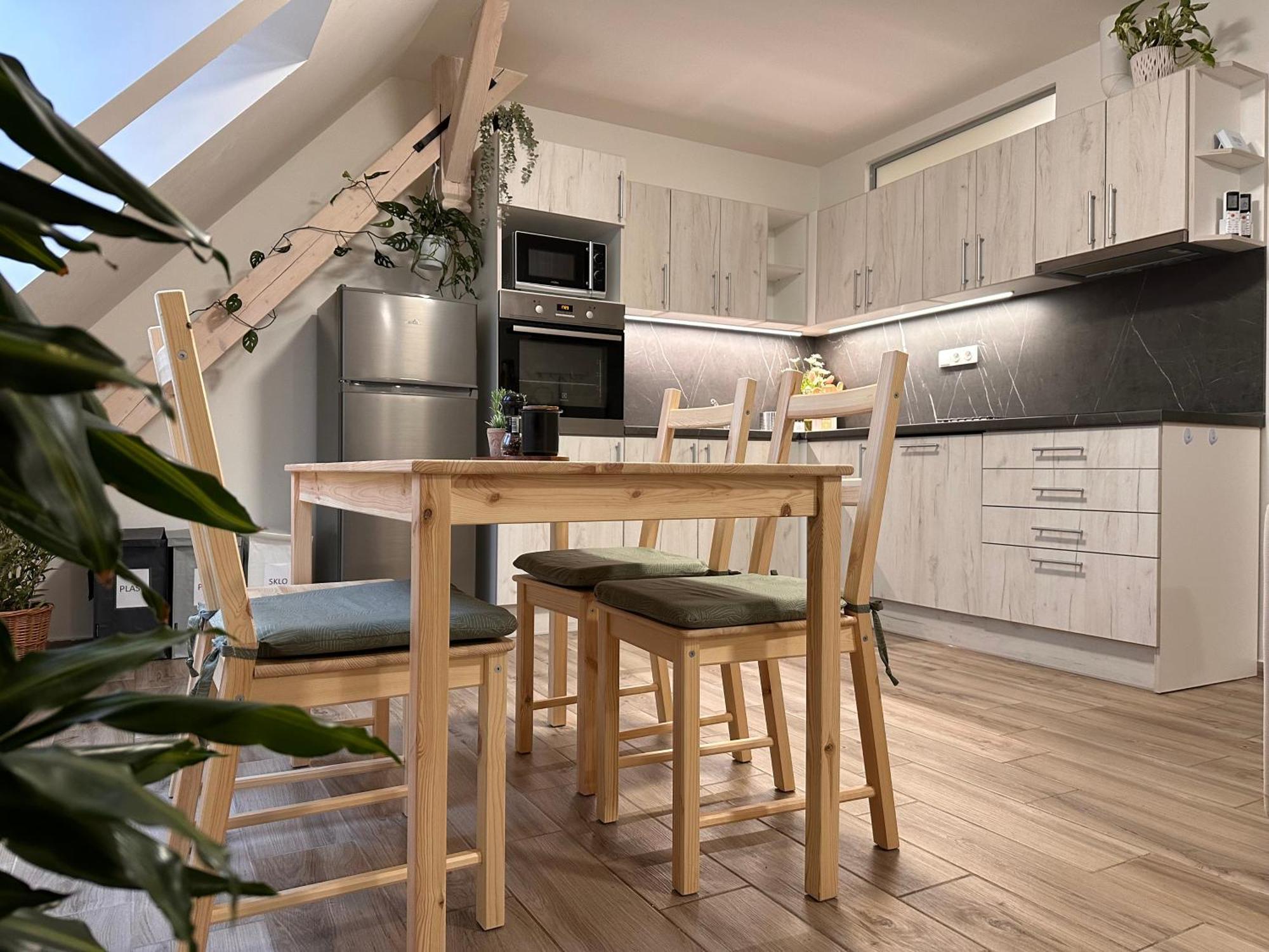 Apartmany Monastery Suites Zirec Dvůr Králové nad Labem 外观 照片