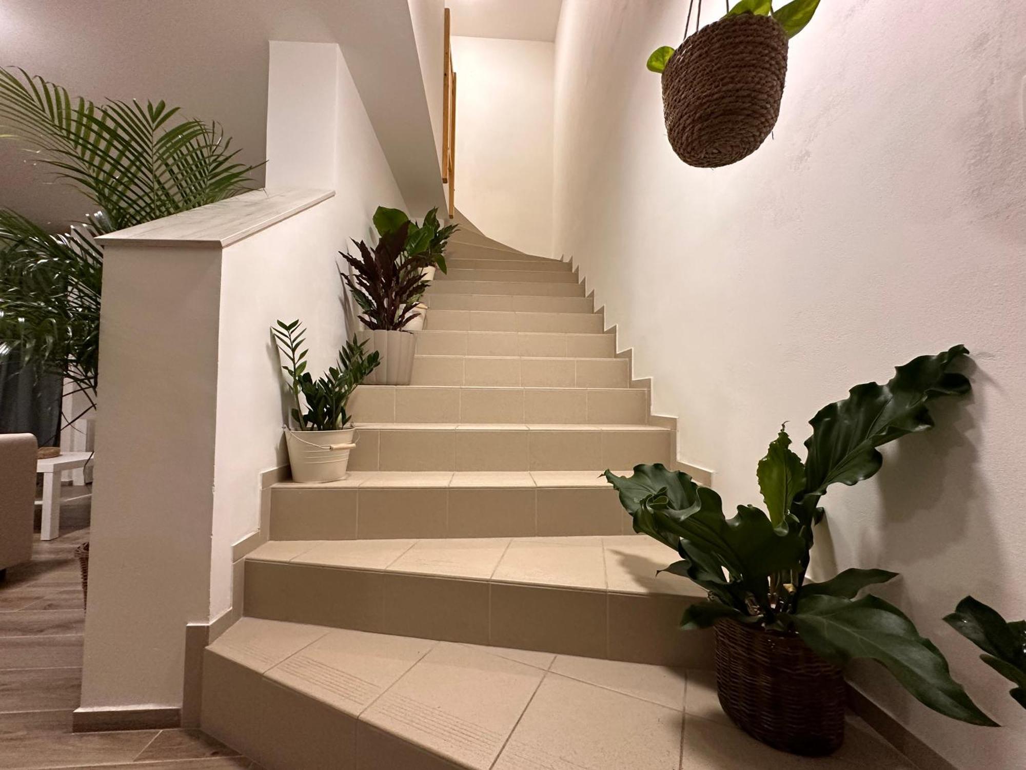 Apartmany Monastery Suites Zirec Dvůr Králové nad Labem 外观 照片