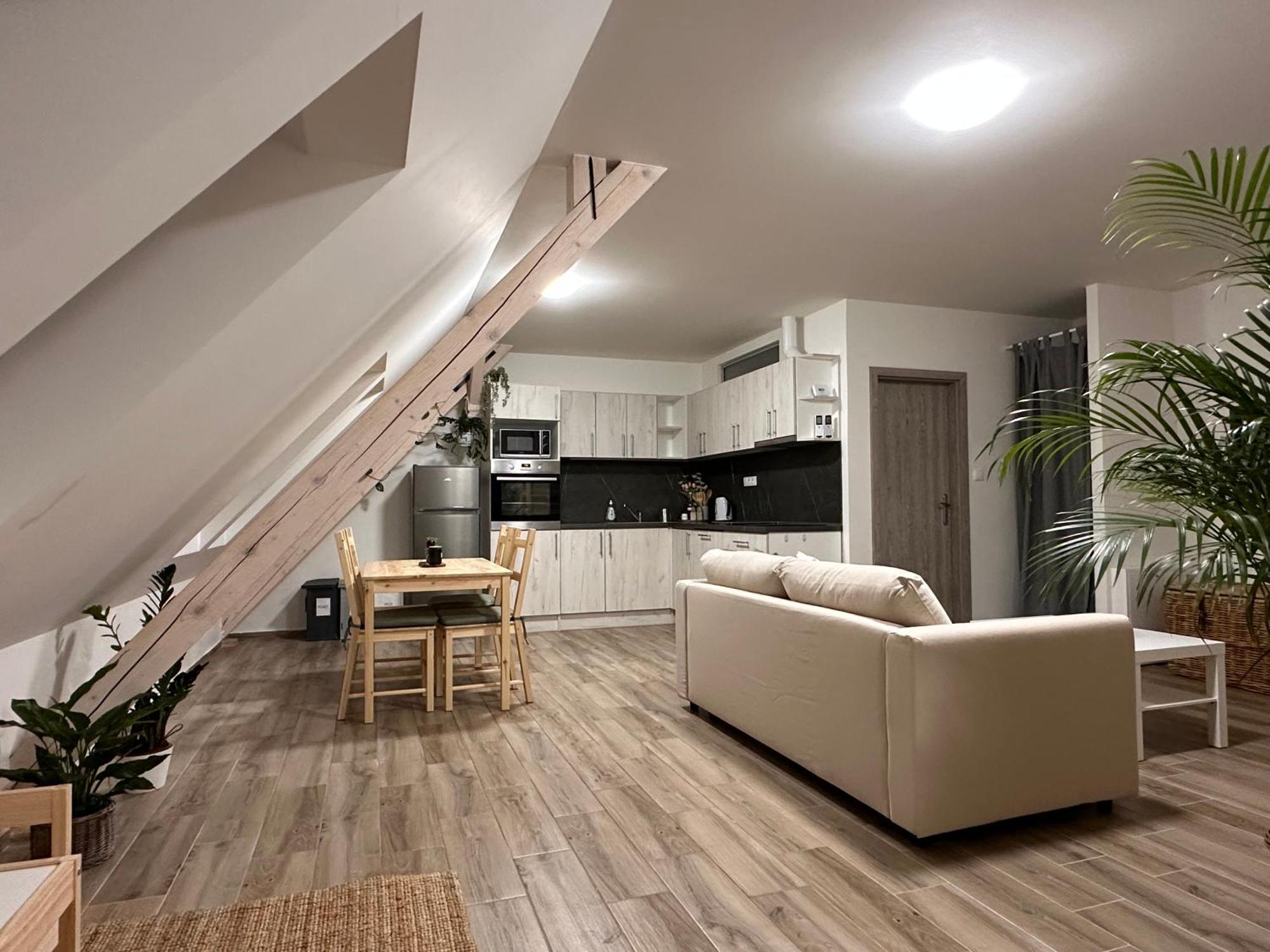Apartmany Monastery Suites Zirec Dvůr Králové nad Labem 外观 照片